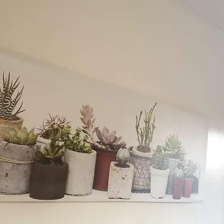 Apartamento Retro *